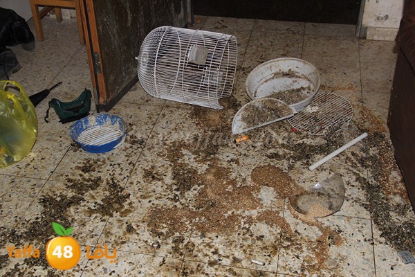 3abedlhadyi0122 (10).JPG